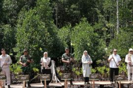 Gubernur Malut dan Pangdam tanam  mangrove di kawasan industri IWIP