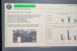 Impor listrik dari Malaysia mendongkrak penerimaan negara di perbatasan