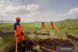 Akibat ulah oknum, dua titik karhutla ditemukan di Banjarbaru