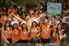 Cleo jaga ekosistem mangrove lewat penanaman 15.000 pohon