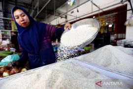 Bapanas siapkan empat opsi soal perubahan HET beras