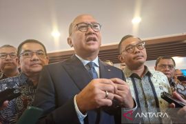 Danantara urges SOEs to pursue long-term goals