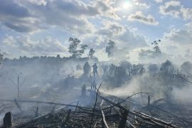 Kebakaran lahan di Kotim mulai merambah lokasi jauh dari sumber air