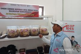 OJK: Kopdes berpeluang bangun kolaborasi dengan industri BPR