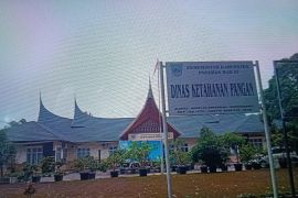 Pemkab: Masyarakat Pasaman Barat harus paham pola makan beragam