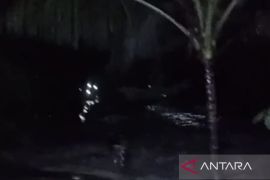 BPBD Cianjur distribusikan bantuan untuk korban banjir Sindangbarang