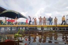 Kalimantan Selatan bangun destinasi wisata pacuan balap kerbau rawa