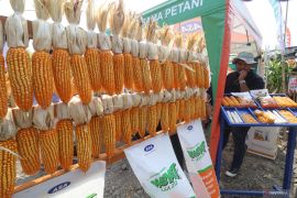 Gelar Inovasi dan Teknologi Pertanian