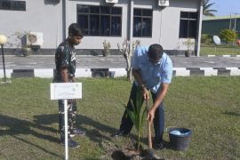 Lanud RSA Natuna tanam 300 bibit jenis kelapa genjah entok dan kelapa dalam