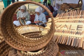 Kerajinan anyaman teduhu