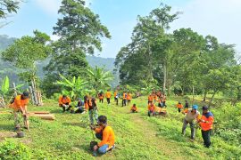 BPBD Jatim dan Jurnalis Grahadi tanam 100 pohon di Gunung Lorokan