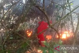 BPBD: Satu hektare lahan kering di Belitung terbakar
