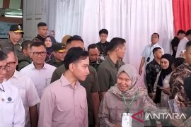 Wapres minta pemerintah daerah dukung program pusat