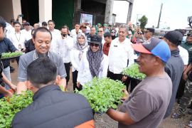 Pemprov Sulsel dan Pemkab Gowa perkuat komoditas kentang di dataran tinggi