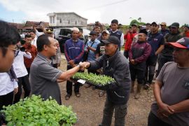 Gubernur Sulsel serahkan 350 ribu benih kentang untuk tiga kabupaten