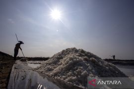 Petambak mulai produksi garam