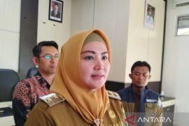 Wabup Bangka Selatan sebut sinergi antar daerah kunci kendalikan inflasi dan stabilitas harga pangan
