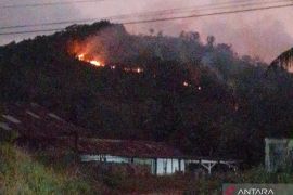 Walhi Kalbar : 8.644 titik panas, sebagian besar dalam area konsesi