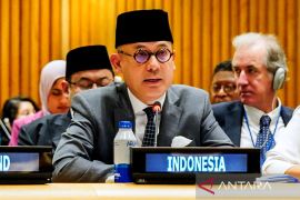 RI laporkan rekomendasi atas isu keamanan solusi dua negara di PBB