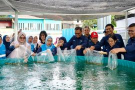 PLN Batam bangun kolam bioflok wujudkan komitmen pada keberlanjutan