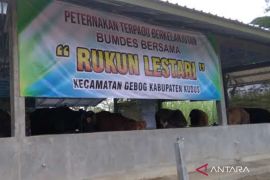 Pemkab Kudus minta pemdes penuhi 20 persen permodalan BUMDes