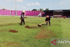 Manajemen Persik: Perbaikan Stadion Brawijaya fokus "top dress" rumput