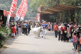 Taman Safari Bogor gelar Parade Satwa rayakan HUT ke-80 RI