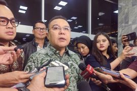 Respons pengibaran One Piece, DPR ingatkan upaya memecah belah bangsa