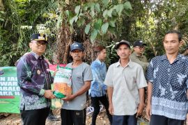 Petani Padangin kembangkan jagung pakan, Bupati Tabalong janjikan sumur bor
