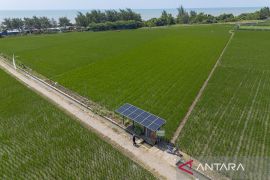 PLTS untuk irigasi sawah di Indramayu