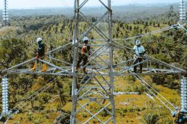 PLN UIP Nusra pastikan SUTT 150 kV Jeranjang - Sekotong Lombok aman