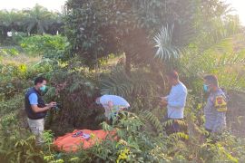 Tim gabungan Polda Babel evakuasi warga hilang di kebun kepala sawit
