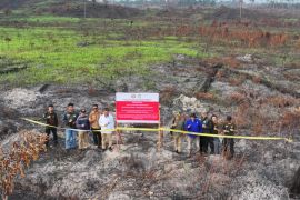 Kemenhut segel dua konsesi terkait kebakaran hutan dekat Malaysia