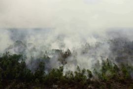 50 Hektare lahan gambut di Mempawah Timur ludes terbakar