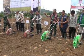 Dukung ketahanan pangan, Kodim Ambon dan kelompok tani tanam padi gogo