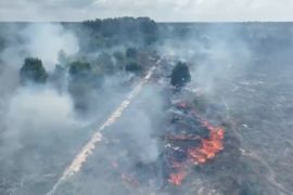 Tiga hektare lahan gambut di Kapuas diduga sengaja dibakar