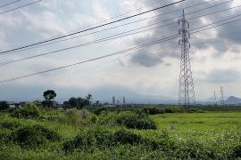 Fenomena Bediding landa Malang Raya, suhu dingin capai 17 derajat