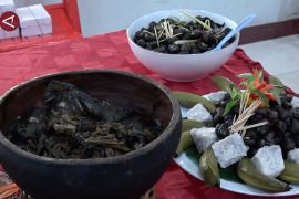 Festival kuliner Papua jadi ajang promosi pangan tradisional