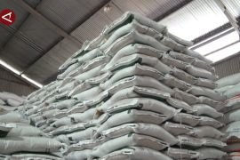 Bulog Kalteng siap salurkan beras dari Bapanas untuk 93.161 PBP