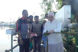 Menyulap Kampung Hijau Banjarmasin jadi Kampung Inggris