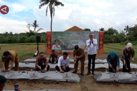 Pemerintah Sumsel bangun kemandirian pangan demi jaga inflasi daerah