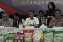 Satgas Pangan ungkap alasan tak tarik beras oplosan dari pasaran