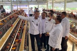 Menteri Imipas tinjau pemberdayaan warga binaan lewat ketahanan pangan