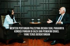 Solidaritas pangan Indonesia di tengah krisis Palestina