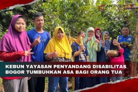 Kebun Yayasan Penyandang Disabilitas Bogor tumbuhkan asa bagi orang tua