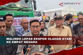 Malindo lepas ekspor olahan ayam ke empat negara