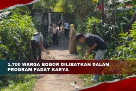 1.700 warga Kota Bogor dilibatkan dalam program Padat Karya