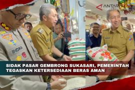 Sidak Pasar Gembrong Sukasari, pemerintah tegaskan ketersediaan beras aman