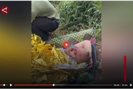 Helikopter mengevakuasi pendaki Swiss yang terperosok di Rinjani - VIDEO
