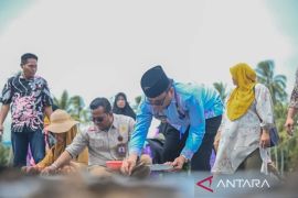 Wali Kota Padangsidimpuan tanam perdana bawang merah